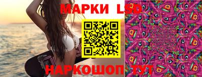 прущие крисы Гатчина