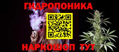 твердый Гай