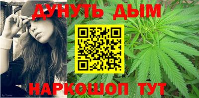 прущие крисы Гатчина