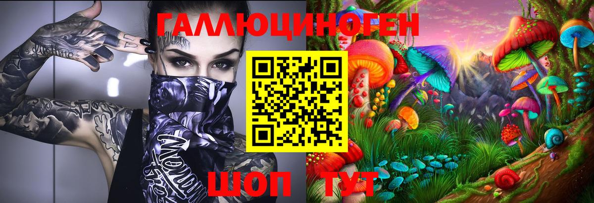 Галлюциногенные грибы MAGIC MUSHROOMS Новоалександровск